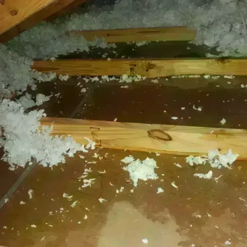 Attic Water Damage in Wadena County, MN