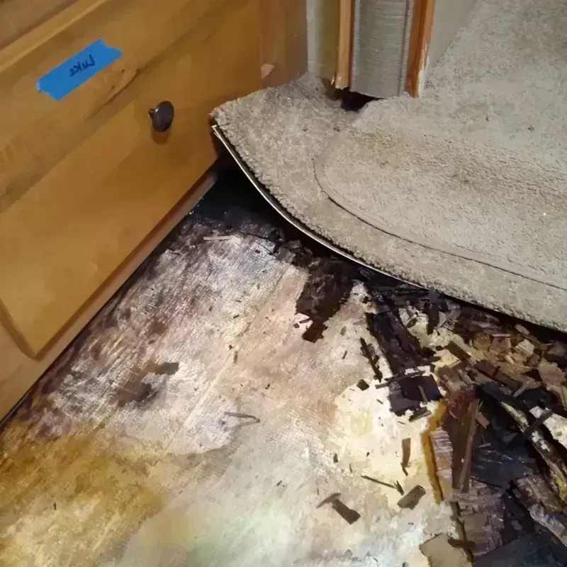 Best Wood Floor Water Damage Service in Wadena County, MN